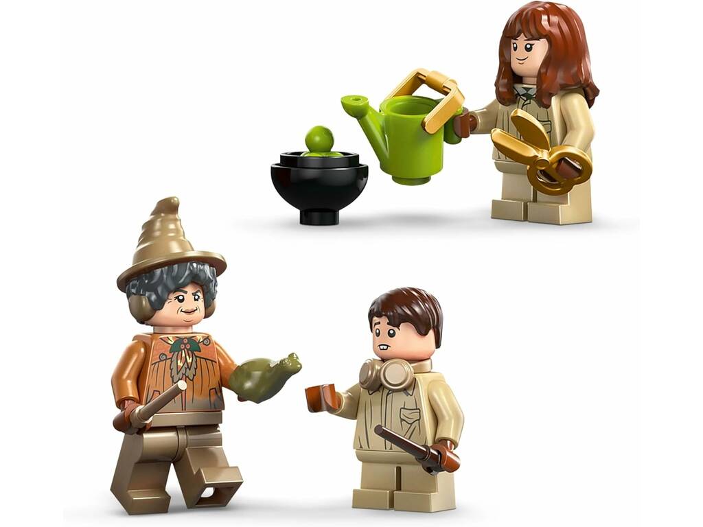 Lego Harry Potter Castello di Hogwarts: Classe di Erbologia