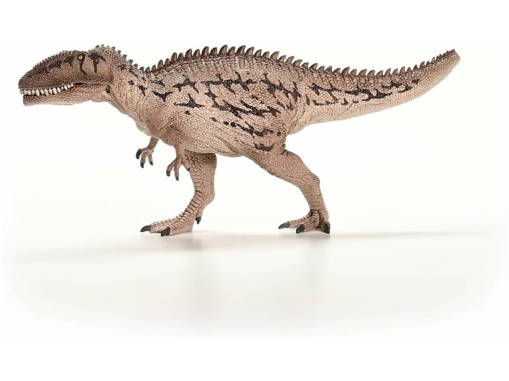 Dinosauri Carcharodontosaurus