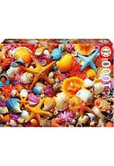 Puzzle 1000 Collage de coquillages