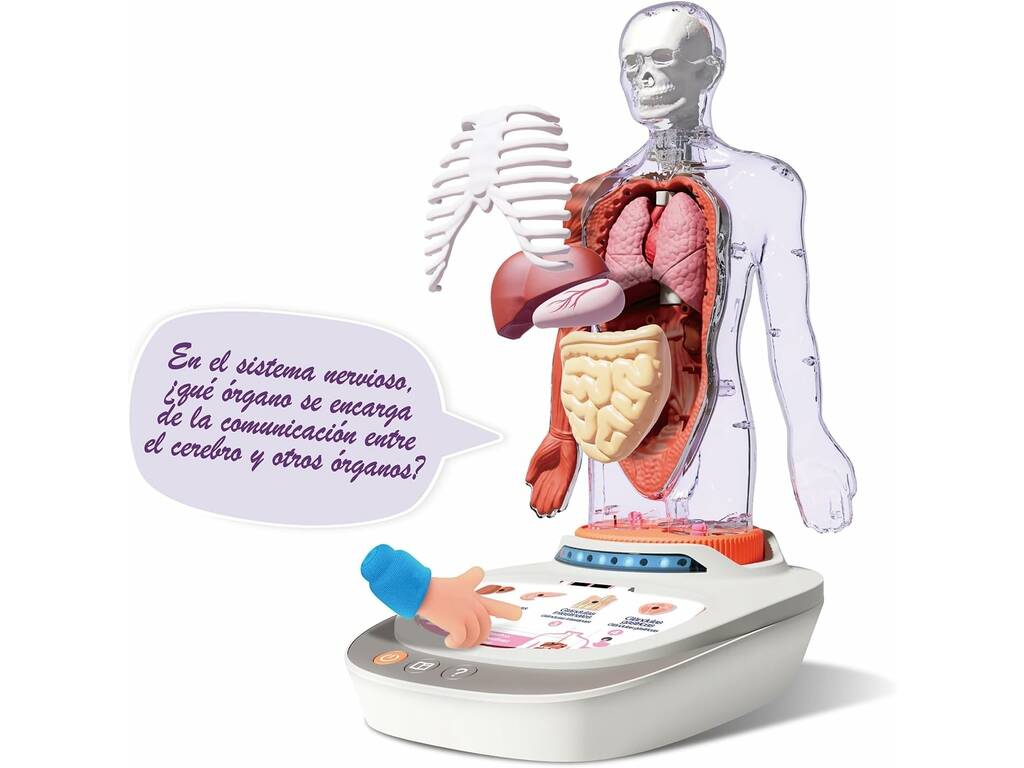 So Science El Cuerpo Humano Interactivo