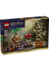 Lego Harry Potter Hogwarts: Plantas de Herbología