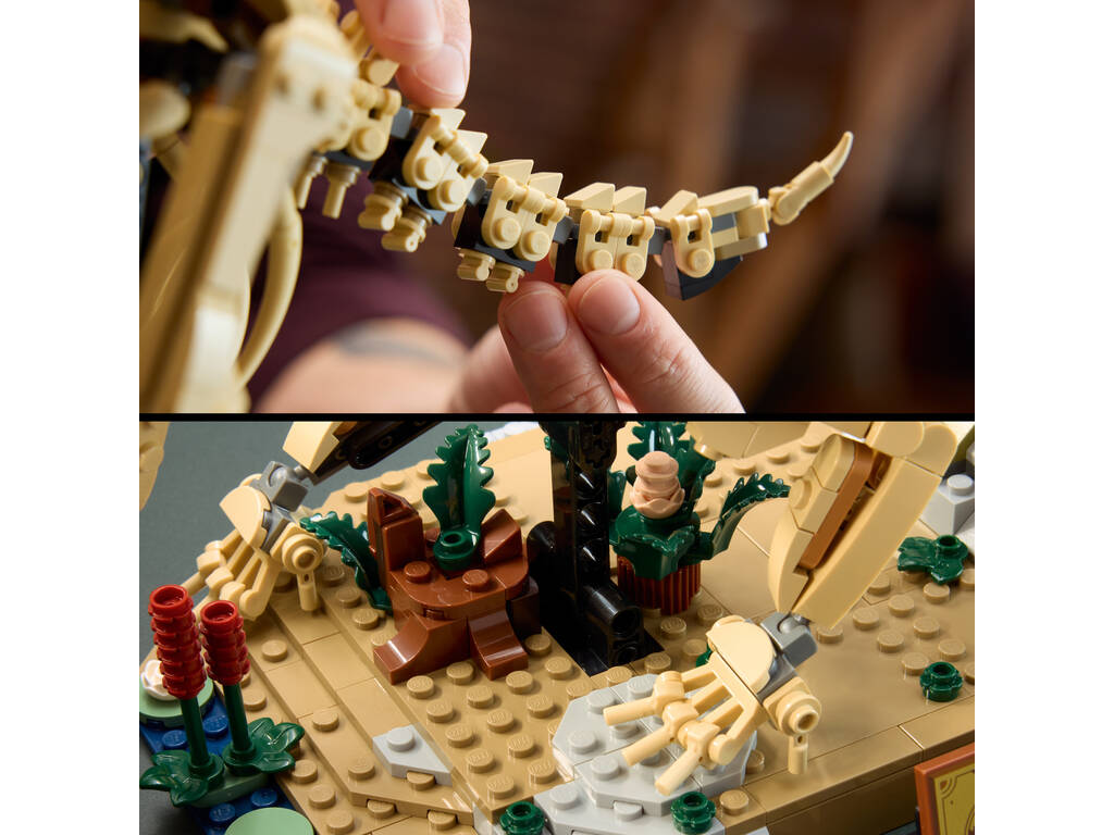Lego Jurassic World Fossiles de dinosaures : Triceratops