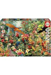 Puzzle 2000 Les oiseaux de l'Amazonie