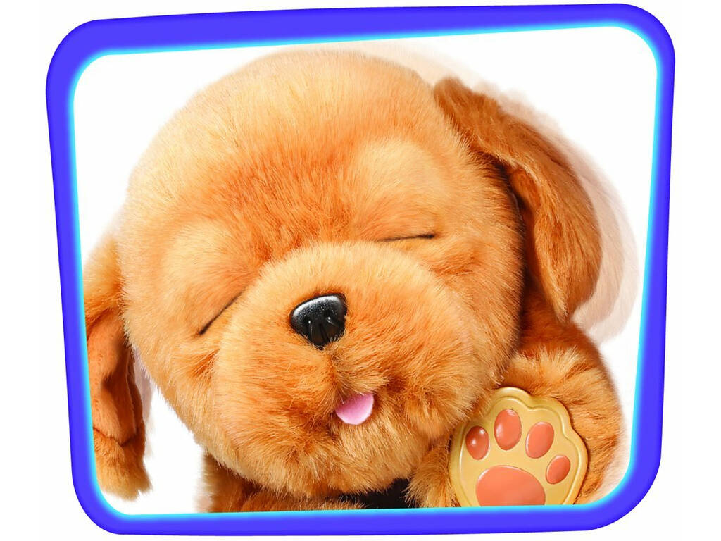 Little Live Pets Sleepy Puppy