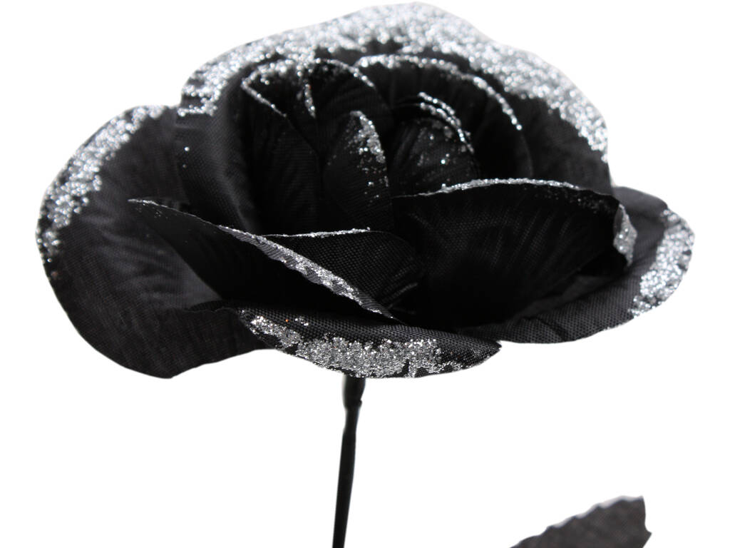 Rose Noire avec Blanche 41 cm