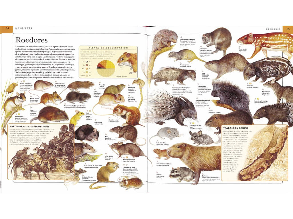 Enciclopedia della Terra o degli animali