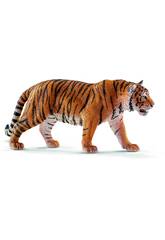 Tigre