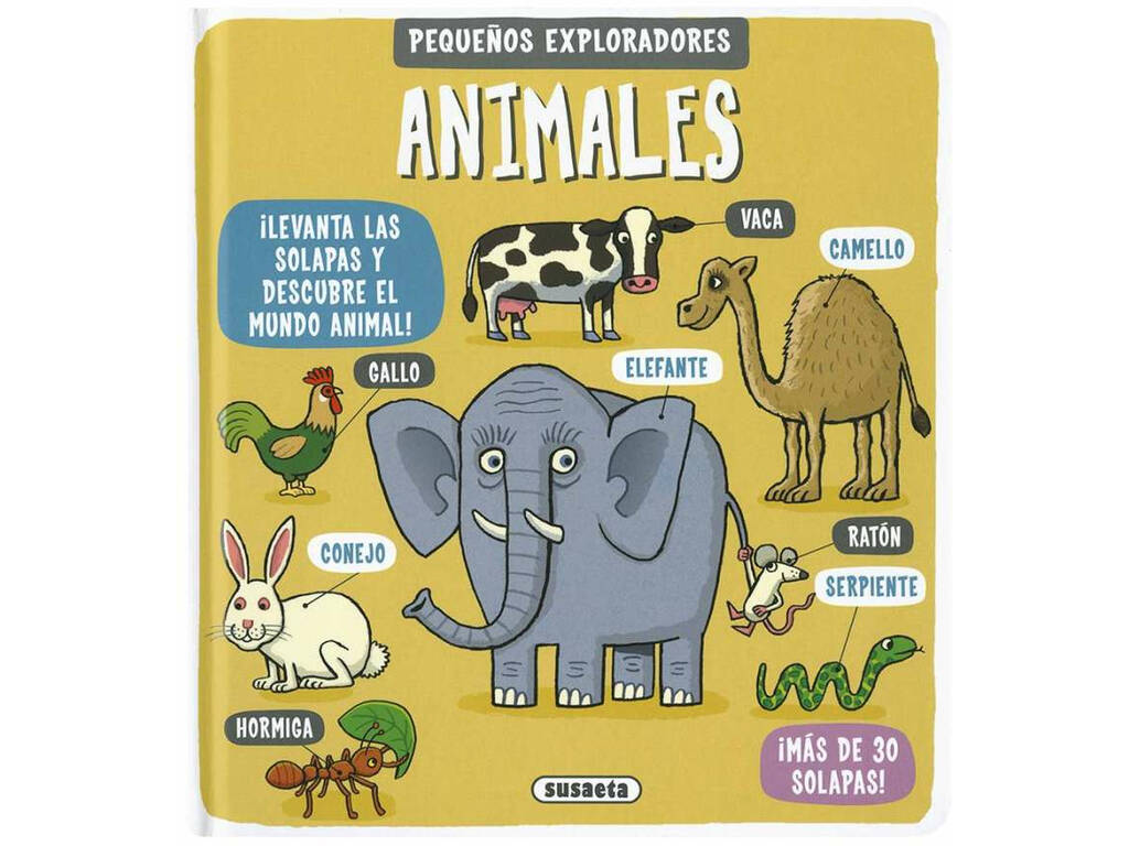 Livre Petits Explorateurs Susaeta S2753 