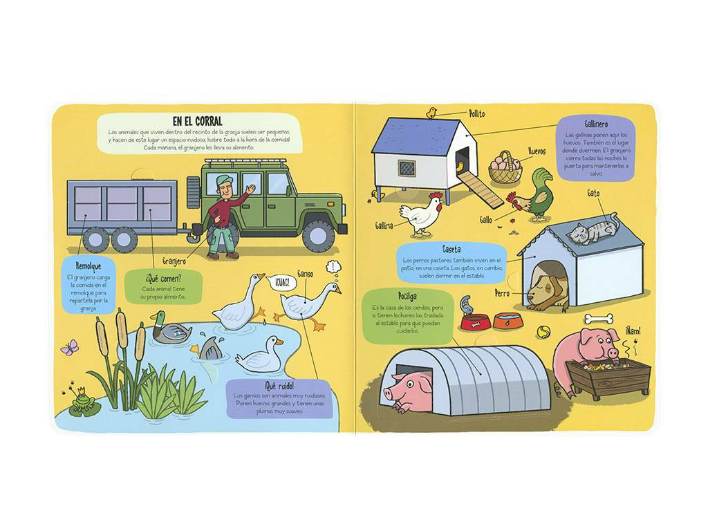 Livre Petits Explorateurs Susaeta S2753 