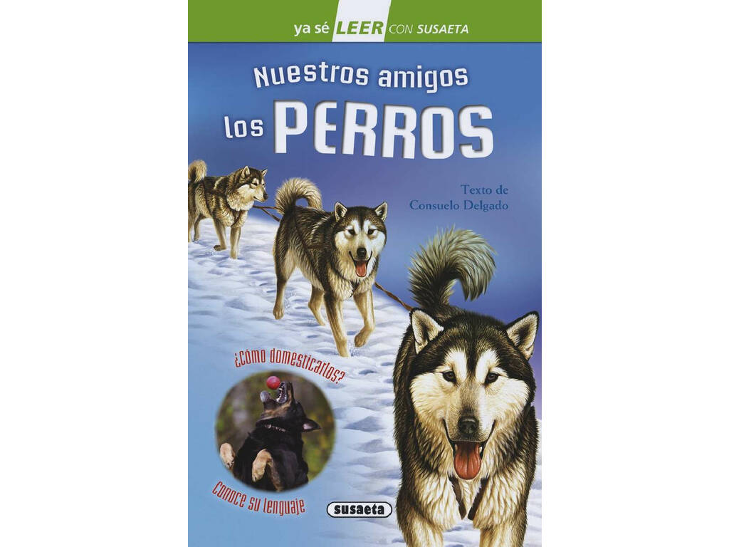 Livre Lire avec Susaeta Nivel 2 Susaeta S2006