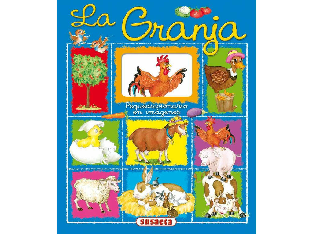 Libro Piccolo dizionario Susaeta S0676