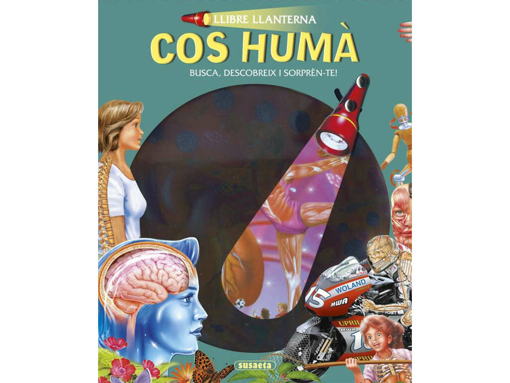 Llibre Llanterna... Catalano Susaeta S1006