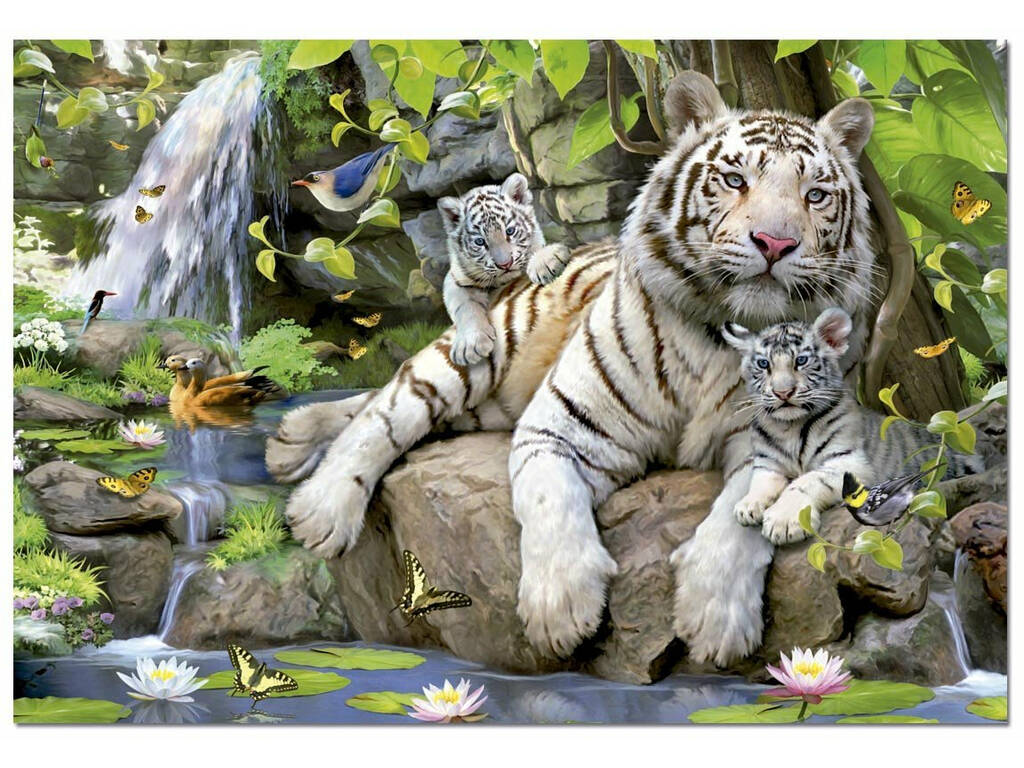 PUZZLE 1000 Tigri Bianche Di Bengala