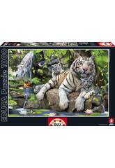 PUZZLE 1000 Tigri Bianche Di Bengala