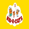 KID A CATS