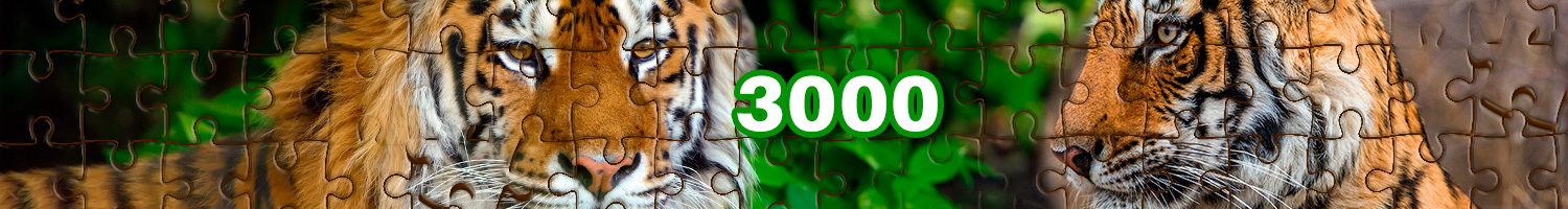 Puzzles de 3000 piezas